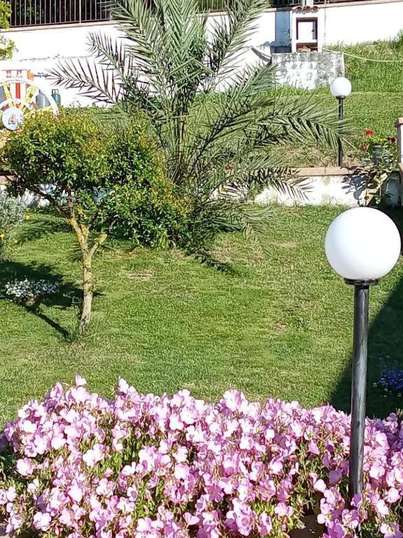 B&B Stella Del Cilento Di Anna Botti Agropoli Exteriör bild